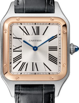 Cartier Santos Dumont Silver 43.5 mm Gold/Steel 