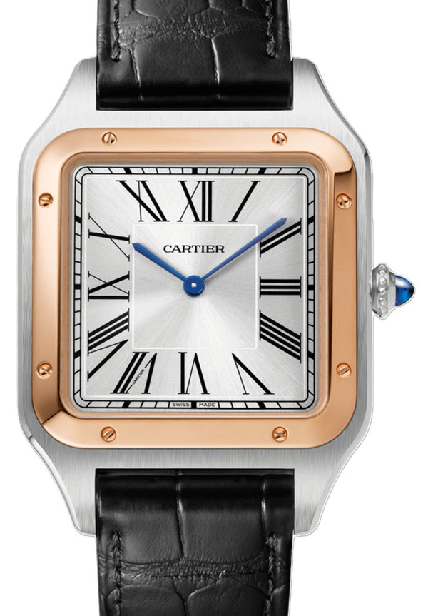 Cartier Santos Dumont Silver 46.6 mm Gold/Steel 